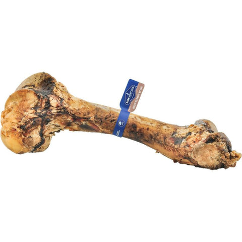 Barkworthies Femur Bone Beef Case of 5