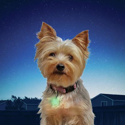 Nite Ize Spotlit L.E.D Green