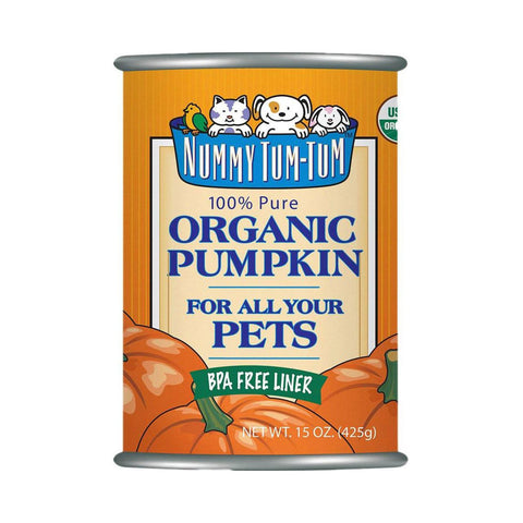 Nummy Tum-Tum Pumpkin Can