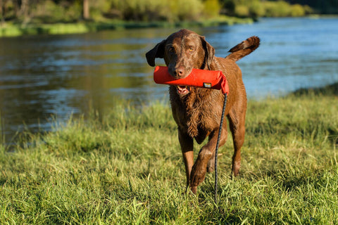 Ruffwear Lunker Toy