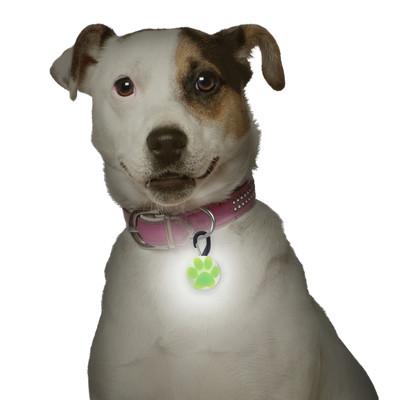 Nite Ize Petlit LED Green Paw
