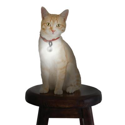 Nite Ize Petlit L.E.D Jewel