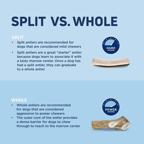 Barkworthies Elk Antlers Split