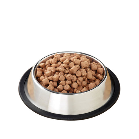 Primal Raw Dog Pronto Lamb 4lb