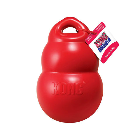Kong Bounzer Toy