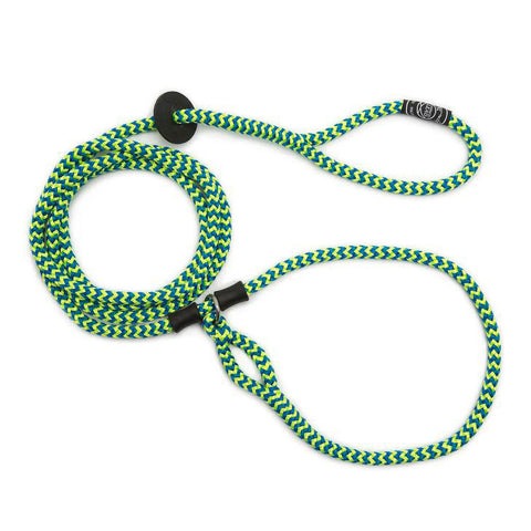 Harness & Lead Peacock