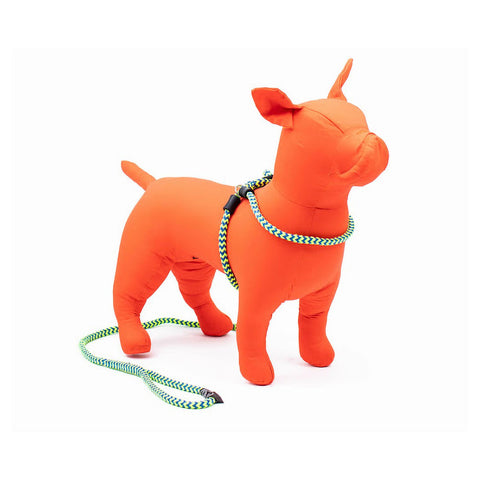 Harness & Lead Peacock