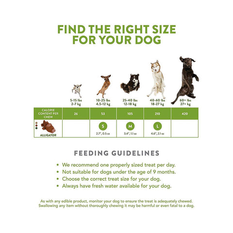 Whimzees Alligator