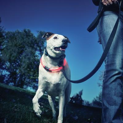 Nite Ize NiteHowl Safety Necklace Red