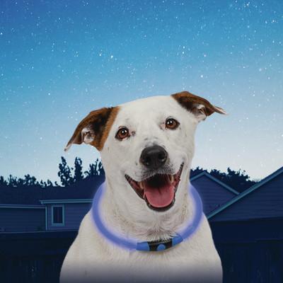 Nite Ize NiteHowl Safety Necklace Blue