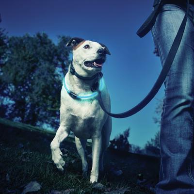 Nite Ize NiteHowl Safety Necklace Blue