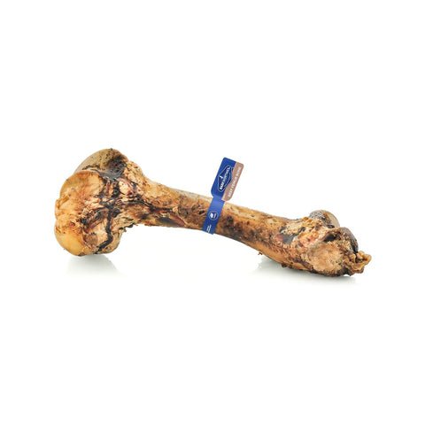 Barkworthies Femur Bone Beef