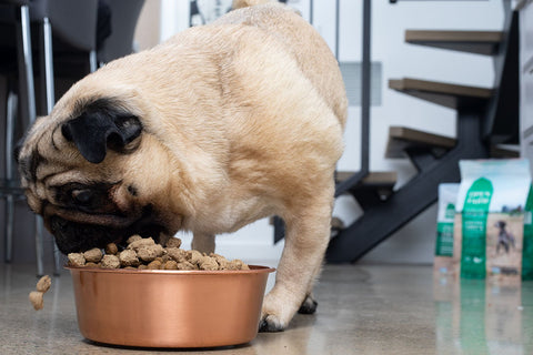 Open Farm Turkey & Chicken