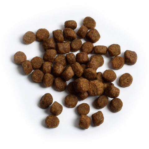 Open Farm Wild Caught Salmon