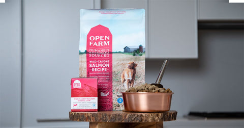 Open Farm Wild Caught Salmon