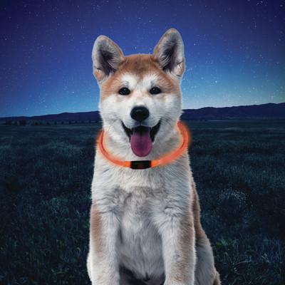 Nite Ize NiteHowl Safety Necklace Orange