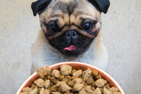 Open Farm Freeze Dried Turkey