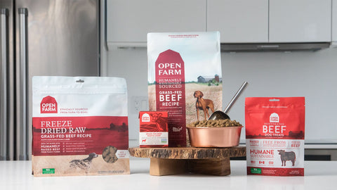 Open Farm Dog Beef Rustic Stew