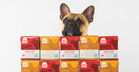 Open Farm Dog Beef Rustic Stew