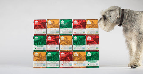 Open Farm Dog Beef Rustic Stew