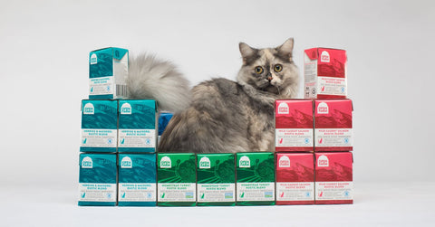 Open Farm Cat Herring & Mackerel Rustic Blend