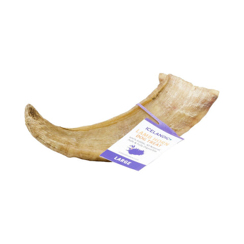 Icelandic+ Lamb Horn
