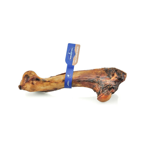 Barkworthies Boar Femur