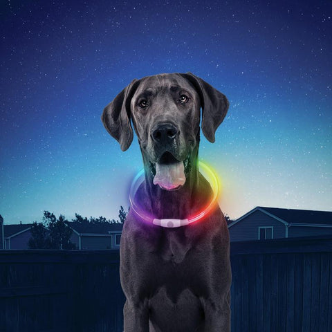 Nite Ize NiteHowl Rechargeable Safety Necklace Disc-O