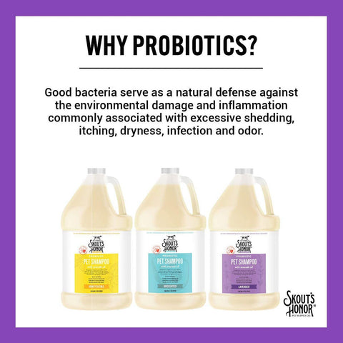 Skout's Honor Probiotic Shampoo Honeysuckle 16oz