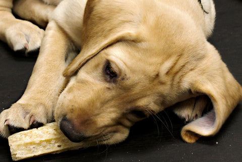 Himalayan Happy Teeth Cheese