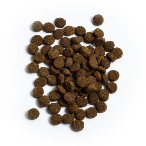 Open Farm Cat Wild Caught Salmon 4lb