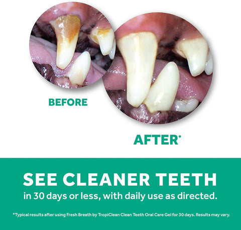 TropiClean Fresh Breath Advanced Whitening Gel