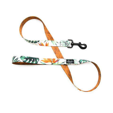Leeds Tropicana Leash
