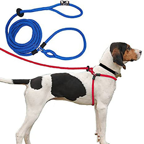 Harness & Lead Pink