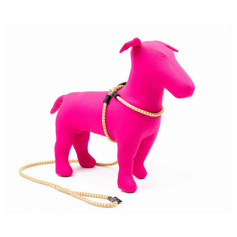 Harness & Lead Lotus