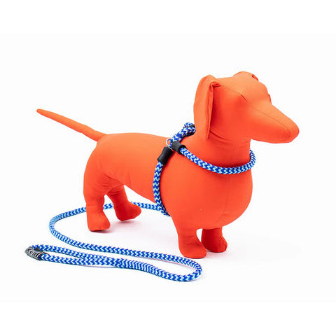 Harness & Lead Blue
