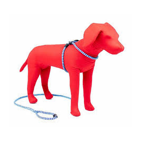 Harness & Lead Blue