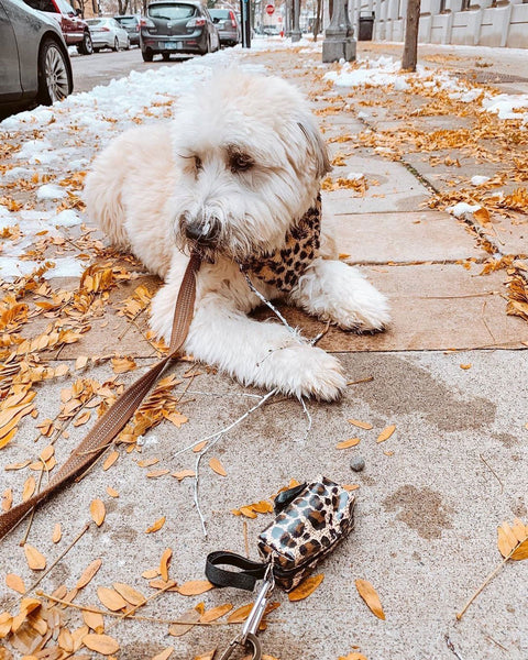 Doggie Walk Duffel Leopard