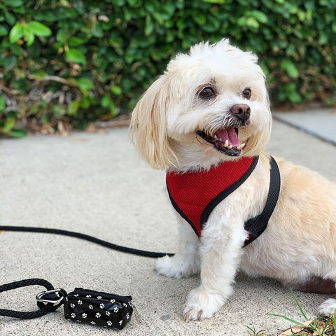 DISCONTINUED Doggie Walk Duffel Black w White Paws