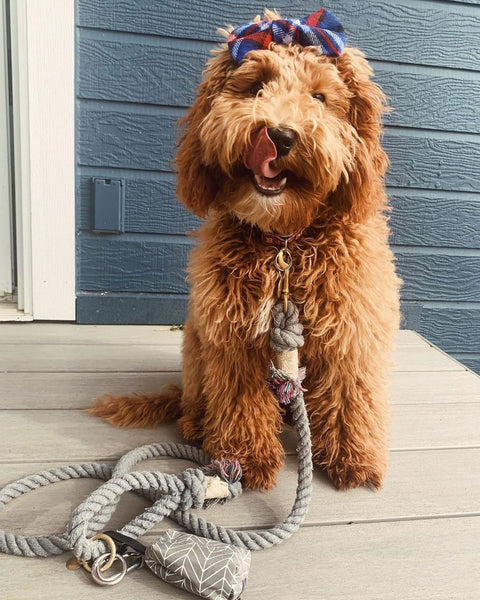 DISCONTINUED Doggie Walk Duffel Black With Gold Dots