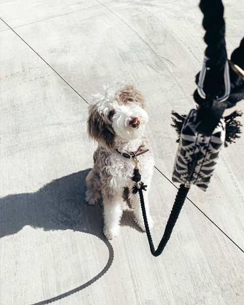 DISCONTINUED Doggie Walk Duffel Black Southwest