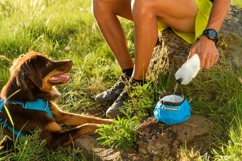 Ruffwear Trail Runner Bowl Blue Dusk