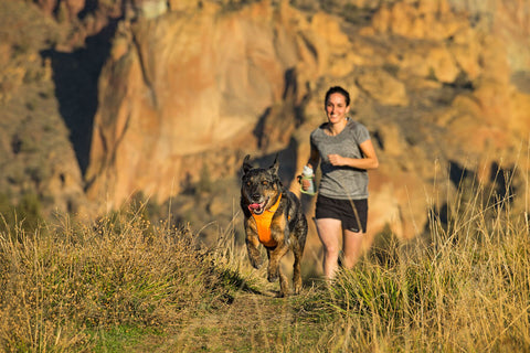 Ruffwear Front Range Harness Campfire Orange