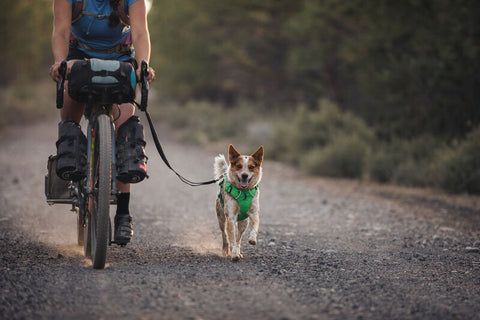 Ruffwear Roamer Leash Obsidian Black 5.5-7ft - DISC