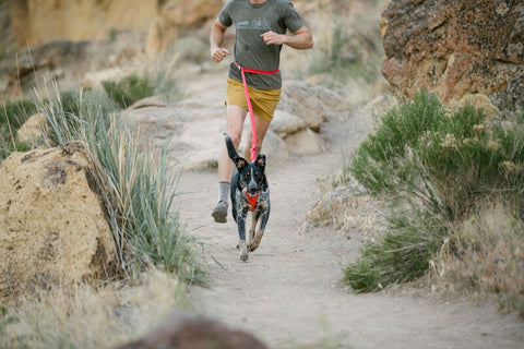 Ruffwear Roamer Leash Red Sumac 5.5-7ft