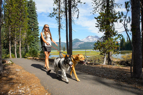 Ruffwear Double Track Coupler Leash Gray - DISC