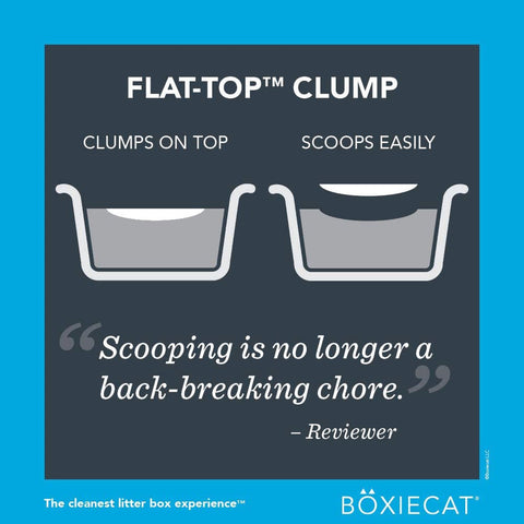 BoxieCat Scent Free Cat Litter