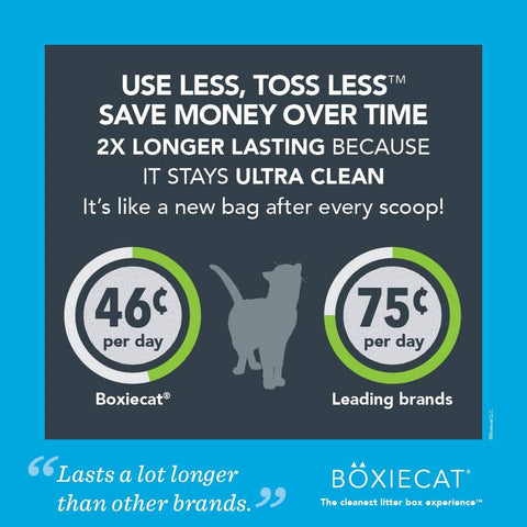 BoxieCat Scent Free Cat Litter