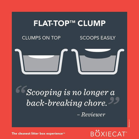 BoxieCat Scent Free Extra Strength Cat Litter