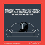 BoxieCat Scent Free Extra Strength Stain Odor Remover 24oz